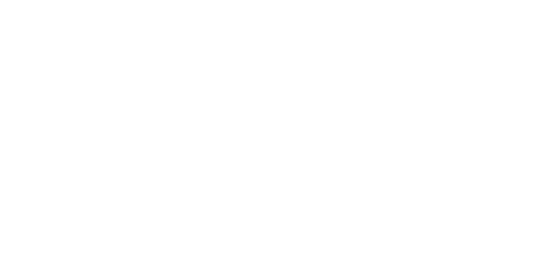 Double Star Casino Logo