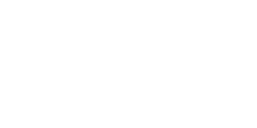LionBet Casino Logo