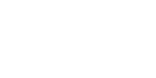 Mint.io Casino Logo