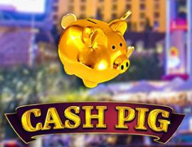 Cash Pig