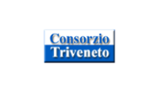 Consorzio Triveneto