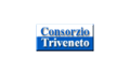 Consorzio Triveneto