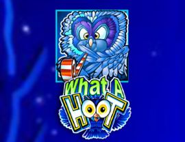 What a Hoot
