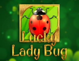 Lucky Lady Bug