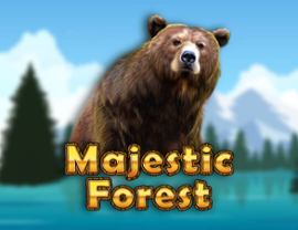 Majestic Forest