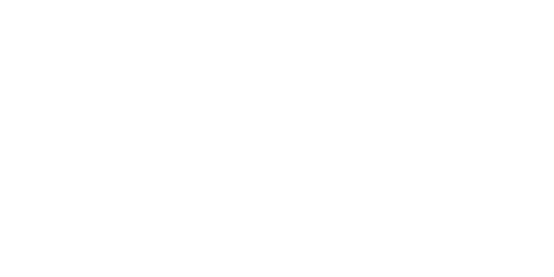 Elephant Bet Casino Logo