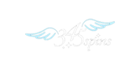 345spins Casino Logo