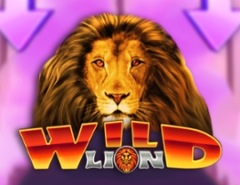 Wild Lion