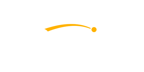 Netwin Casino Logo