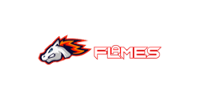 Flames Casino Logo