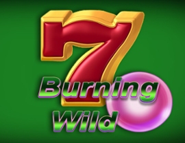 Burning Wild