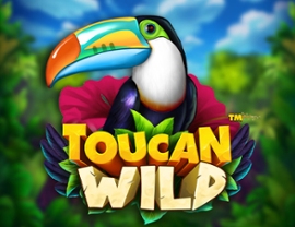 Toucan Wild