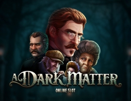 A Dark Matter