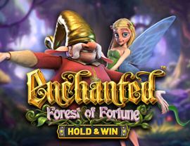 Enchanted: Forest of Fortune