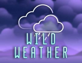 Wild Weather