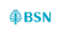 BSN Bank