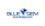 Blue Gem Gaming
