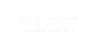 VaideBet Casino Logo