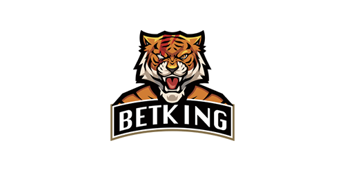 BETKING Casino Logo