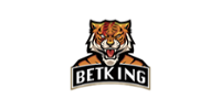 BETKING Casino Logo