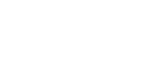 Wish Bingo Casino Logo