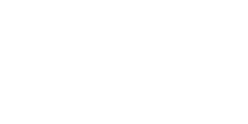 Winsane Casino Logo