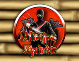 Ninja Spirit
