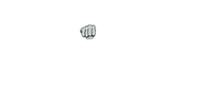 5Dimes Casino Logo