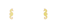 Casino Cruise Logo