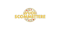 Vuoi Scommettere Casino Logo