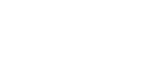 Novicasino Logo