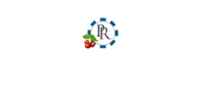 Platinum Reels Online Casino Logo