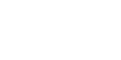 Punch Bets Casino Logo