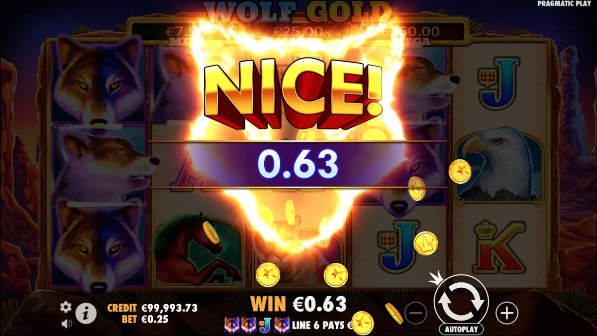 Wolf Gold - Nice Win
