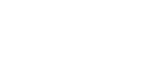 Wild Spins Casino Logo