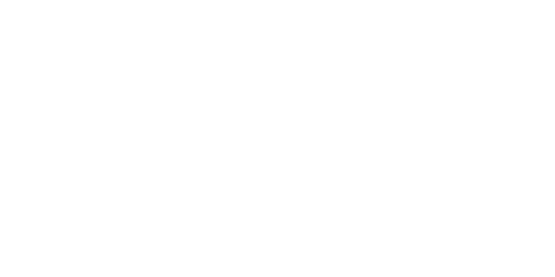 Spin and Bingo Casino Logo
