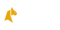 Felix Spin Casino Logo