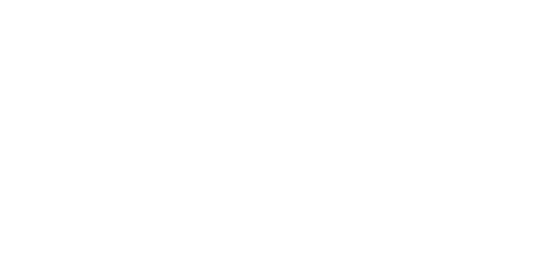 BetWarrior Casino Logo