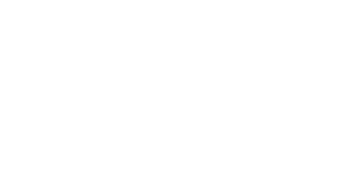 BetWarrior Casino Logo