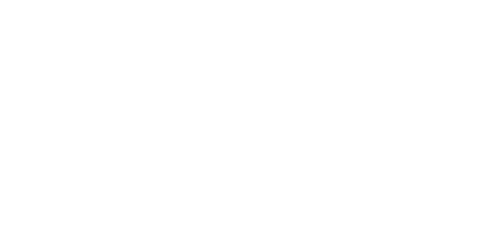Leaowin02 Casino Logo