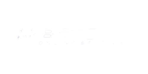 Betcity.net Casino Logo