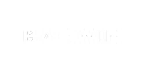 Bag.win Casino Logo