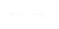 Bag.win Casino Logo