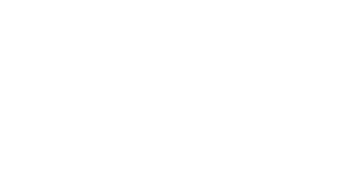Phoenix365 Casino Logo